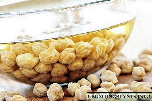 As sementes de remollo: mesturas nutricionais naturais - receitas populares