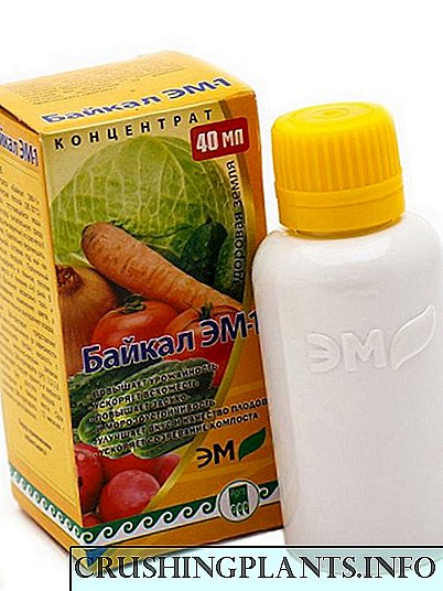 Fertilizer "Baikal EM-1" - ts'ebeliso ea limela tsa ka tlung