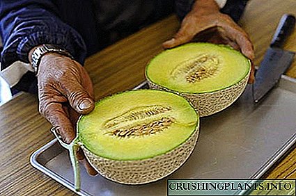 Manĝanta Melon por Diabeto Tipo 2