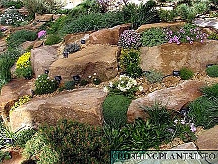 Рок градина: видливи карактеристики и аранжман