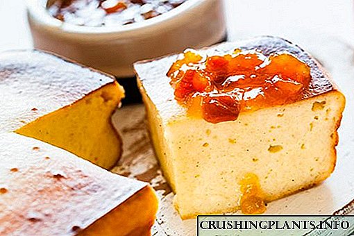 Тандырга, карапага бышырылган Даамдуу Recipes сыр casseroles,
