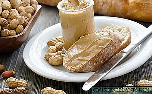 Peanut Nutritional Paste: Kapaki-pakinabang at Masamang Katangian ng Produkto