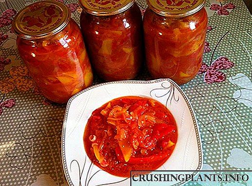 Мирисна пиперка во здрав сок од домати за зимата