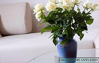 A bouquet nke Roses - esi mee ka freshness ya dị ogologo
