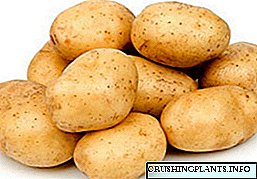 Apa sing apik kanggo kentang? Cara panggunaan ing obat tradisional, diet lan kosmetologi