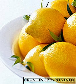 Limon nəyə yaxşıdır?