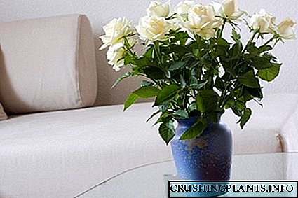 Што да направите за да ги задржите розите во вазна подолго?