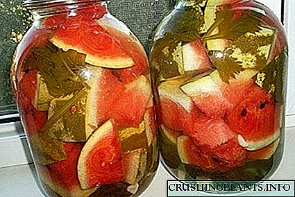Ајде да научиме како да мариме лубеници за зима и да се запознаме со интересни рецепти