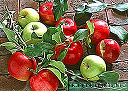 Nindakake wit apel apel nalika musim panas