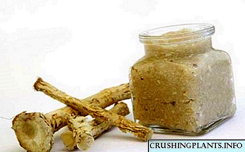 Тайёр кардани хӯрокпазӣ - решаҳои horseradish барои зимистон
