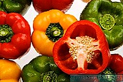 Ние го правиме нашиот избор според фотографијата со опис на најдобрите сорти на слатка пиперка