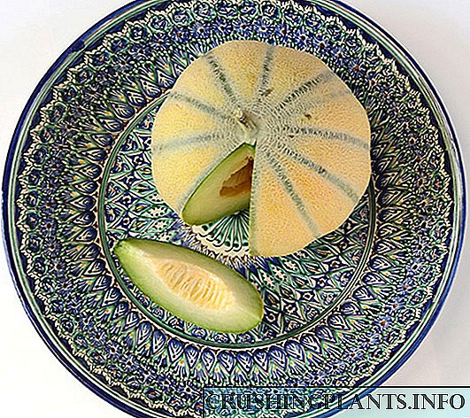 Melon Bukharka - ເປັນການເພີ່ມເຕີມທີ່ດີຕໍ່ສານອາຫານ