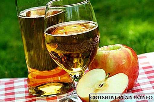 Tuisgemaakte wyn gemaak van natuurlike appelsap: spesifikasies van voorbereiding