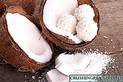 Ekzotika produkto ie ajn en la mondo - kokosaj flakoj