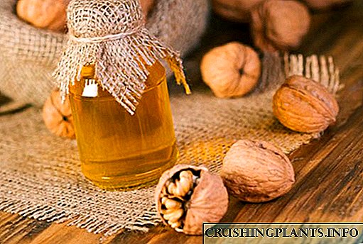 Elixir energi lan masculine kekuatan - walnut karo madu