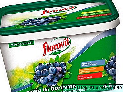 Florovit pikeun blueberries, sipat sareng fitur aplikasi
