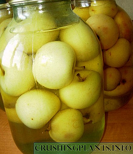 Рецепти со овошје за зима: конзервирање јаболка во сопствениот сок