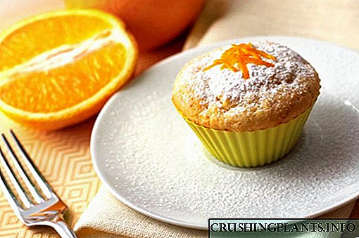 پخت و پز کیک های نارنجی در روش های مختلف