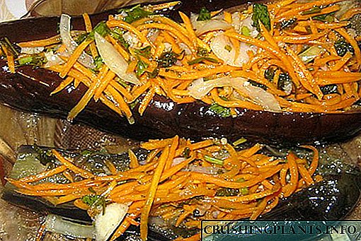 Cociñar un prato de outono - berenxena en vinagre rechea de verduras