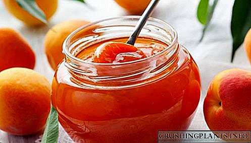 Ho pheha Apricot Jam ka Orange