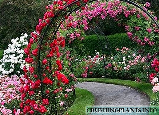 Ideat ta 'Disinn ta' Arch Arch Garden