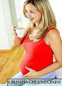 Gумбир за време на бременост и доење