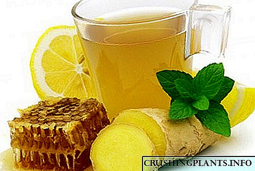 Gумбир лимонада - пијалок за здравје