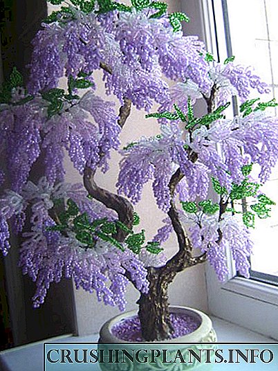 DIY daxili bəzək - muncuq bonsai