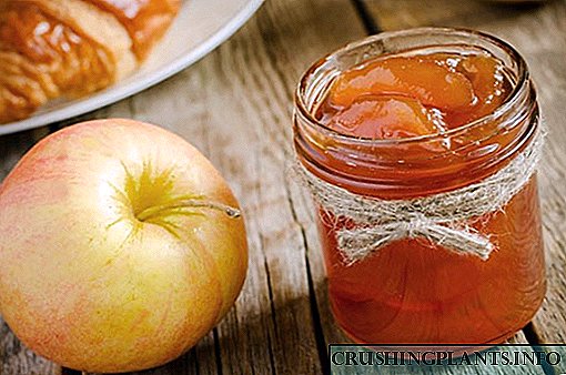 Zanimljivi recepti od džema od jabuka s narančama