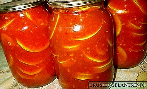 Zucchini kaleng enak dina jus tomat kanggo usum