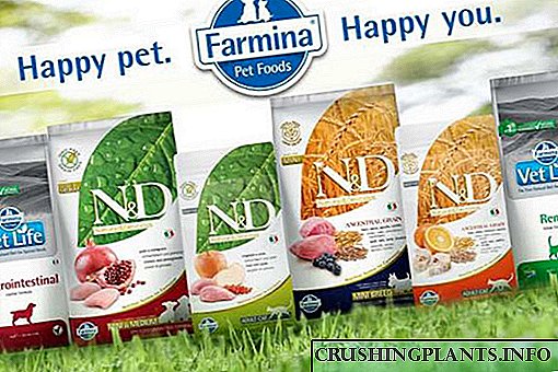 غذای با کیفیت و مغذی برای سگ ها و گربه ها Farmina