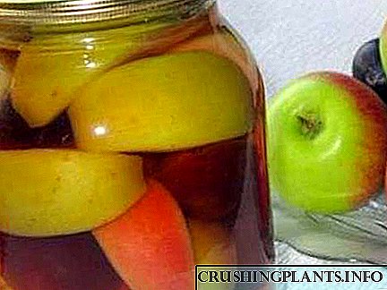 Como facer rapidamente compota a partir de mazás e ameixas: receitas, conservas e consellos útiles