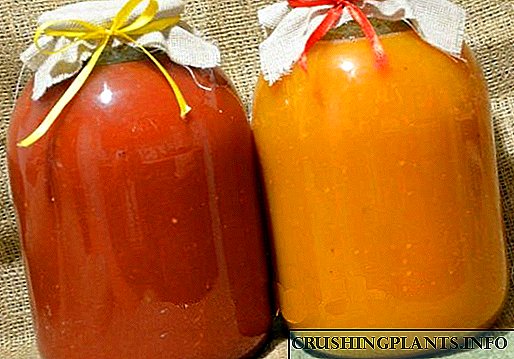 Si të bëni lëng domate në shtëpi pa një lëng frutash?