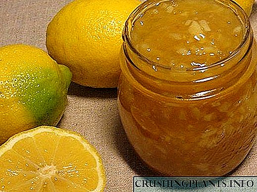 Како да направите вкусна и здрава џем од лимон дома