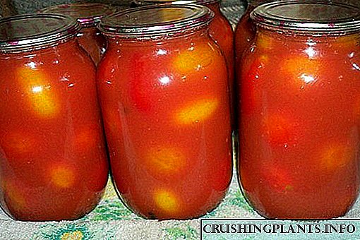Si të gatuani domate në lëngun tuaj për dimër - receta të njohura