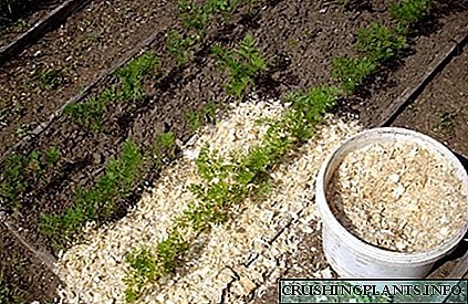 Yuav ua li cas siv sawdust rau fertilize carrots?