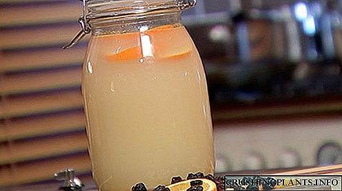 Kako napraviti kvas kod kuće od brezovog soka?