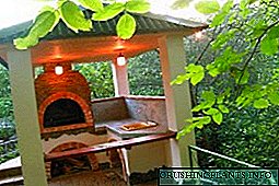 မိမိလက်နှင့်ဥယျာဉ်ကိုအိမ်ခေါင်မိုးများအတွက် BBQ လုပ်လုပ်နည်း