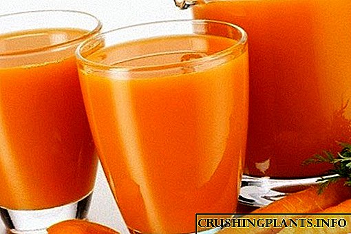 Како да направите сок од морков за зимата дома, опции за подготовка на мешавина од сокови