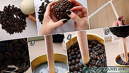 Како да направите ција-сами-топиер: кафе дрво на среќа