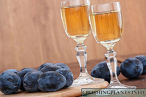 Kumaha cara ngadamel anggur plum enak: léngkah, katerangan, poto