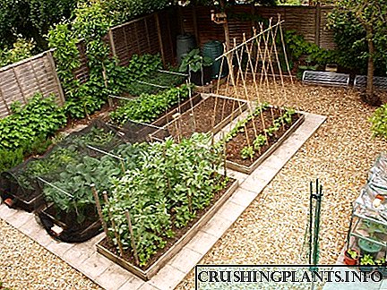 چگونه یک باغ را در یک منطقه کوچک برنامه ریزی کنیم؟