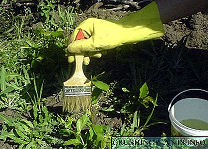 Како да се уништат плевелите во градината народни методи?