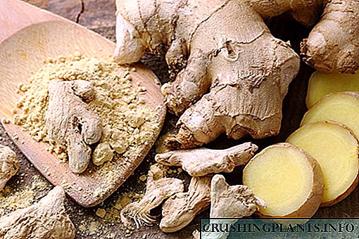 Како да се јаде сочен корен од ѓумбир во храната и за третман