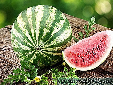 Conas watermelon a roghnú gan níotráití ag an asraon?