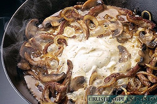 Како да растат и готват печурки од остриги