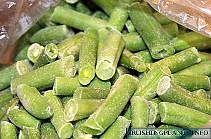 Лӯбиёи asparagusро барои зимистон чӣ гуна ях кардан мумкин аст, дар ҳоле ки хусусиятҳои фоиданок ва намуди зоҳирии ҷолибро нигоҳ медорад?