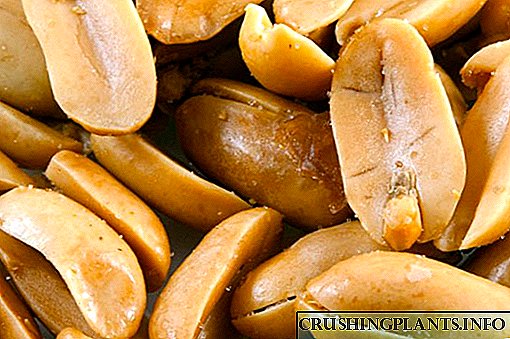 How to peanuts di panek, di nav rûnê û di mîkrokerê de çik bikin