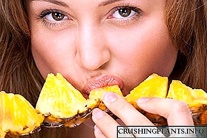 Која е употребата на свеж ананас за човечкото тело
