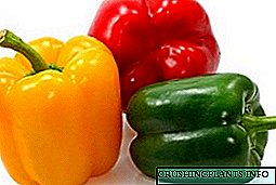 Кои се најдобрите сорти на пиперки за Сибир и Урал?